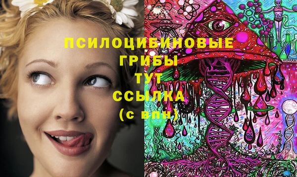 герыч Алексеевка